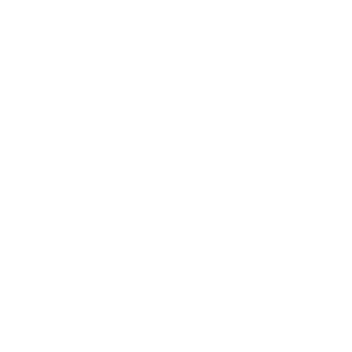 Técnicos Expertos